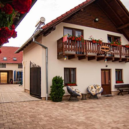 Casa Iancu Hotel Jina ภายนอก รูปภาพ