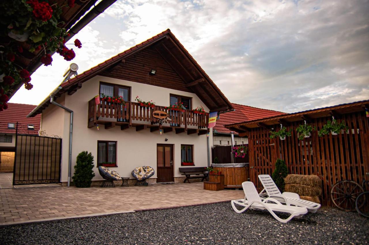 Casa Iancu Hotel Jina ภายนอก รูปภาพ