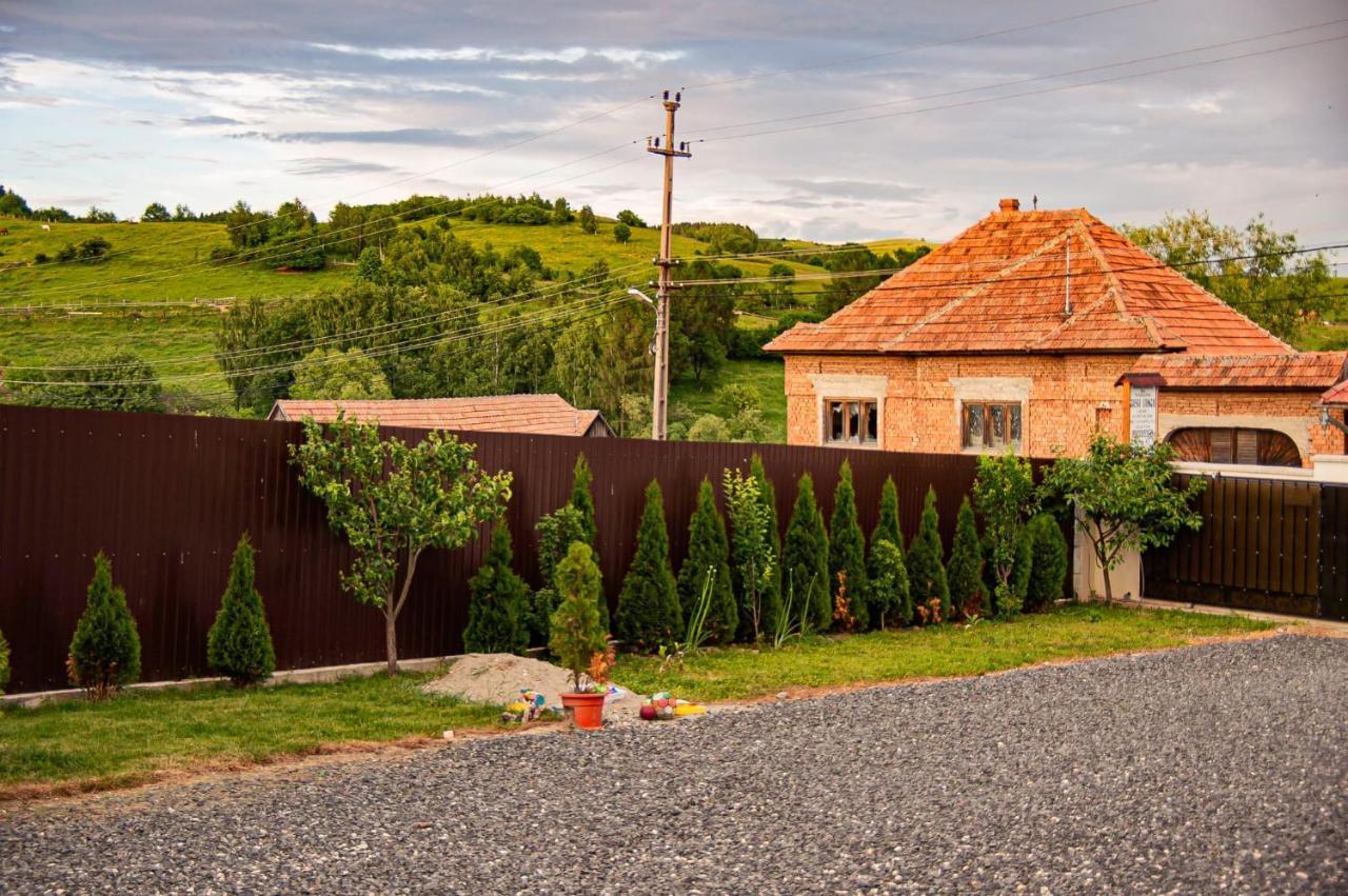 Casa Iancu Hotel Jina ภายนอก รูปภาพ