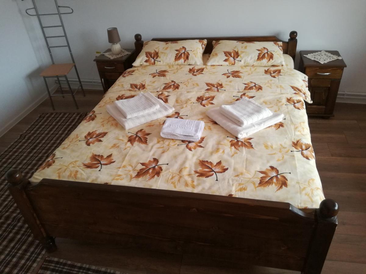 Casa Iancu Hotel Jina ภายนอก รูปภาพ