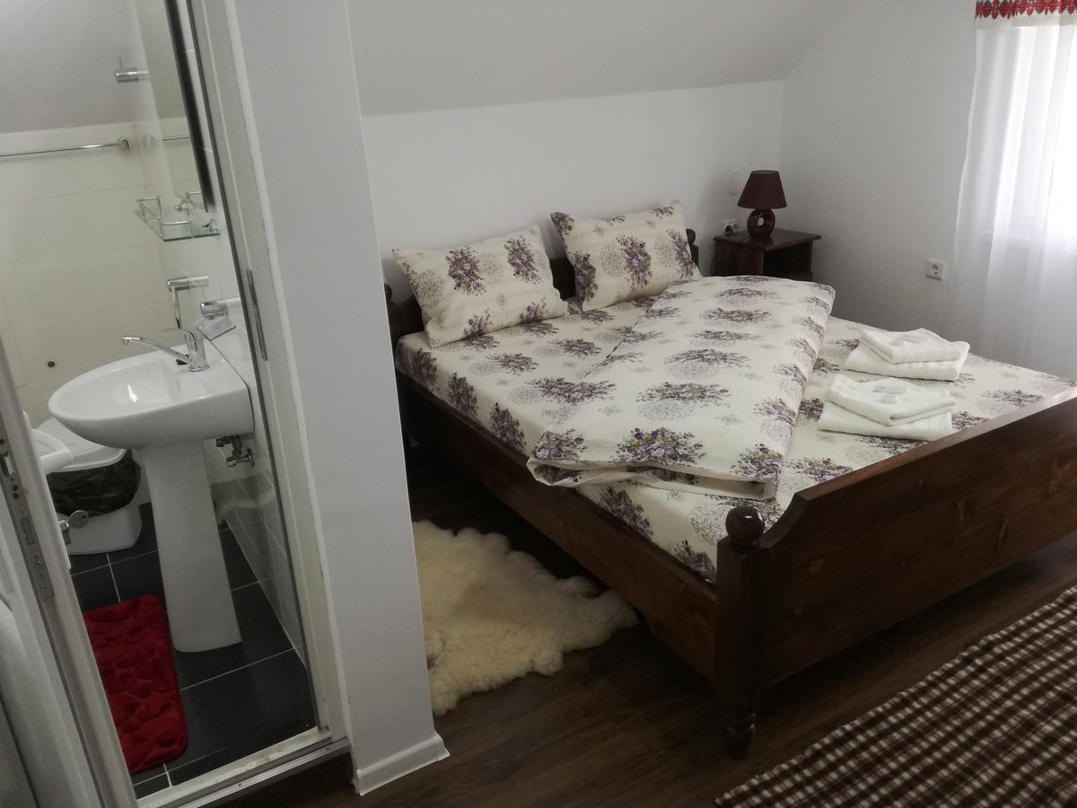 Casa Iancu Hotel Jina ภายนอก รูปภาพ