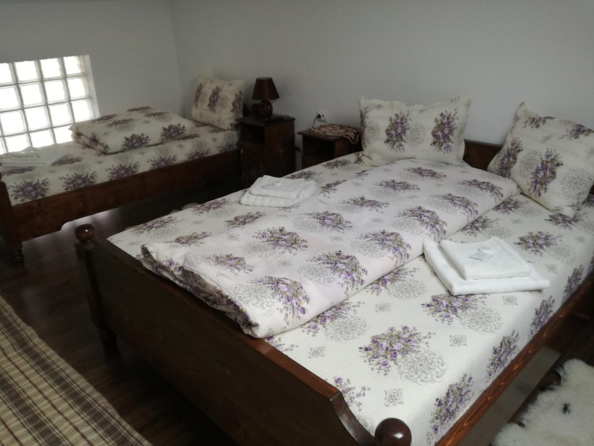 Casa Iancu Hotel Jina ภายนอก รูปภาพ