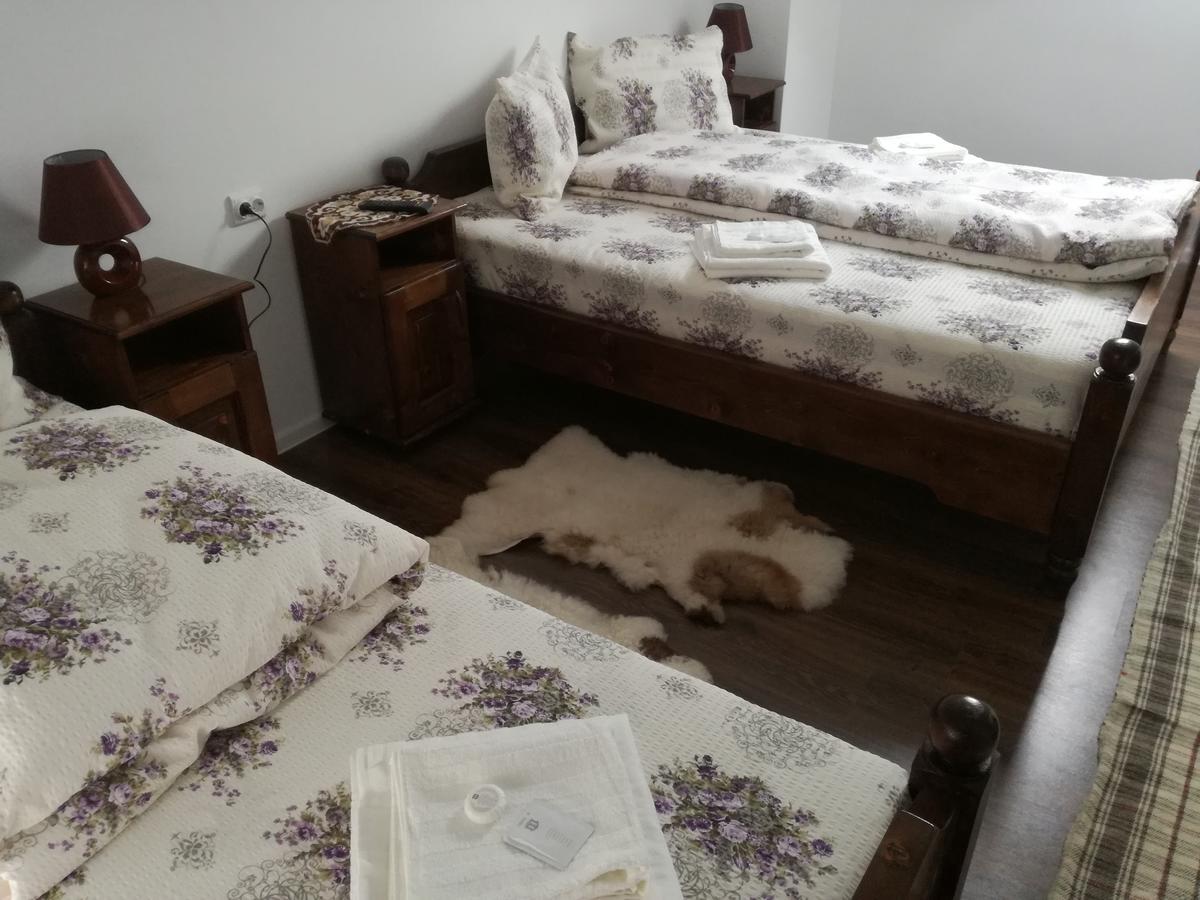 Casa Iancu Hotel Jina ภายนอก รูปภาพ